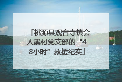 桃源县观音寺镇会人溪村党支部的“48小时”救援纪实