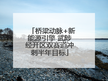 桥梁动脉+新能源引擎 武陟经开区双赛道冲刺半年目标