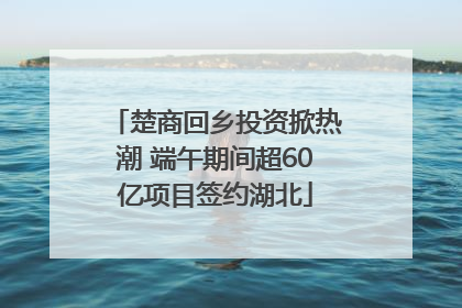 楚商回乡投资掀热潮 端午期间超60亿项目签约湖北