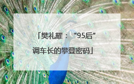 樊礼耀：“95后”调车长的攀登密码