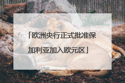 欧洲央行正式批准保加利亚加入欧元区