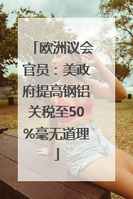 欧洲议会官员：美政府提高钢铝关税至50%毫无道理