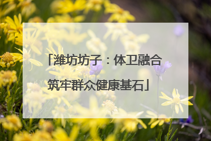 潍坊坊子：体卫融合筑牢群众健康基石