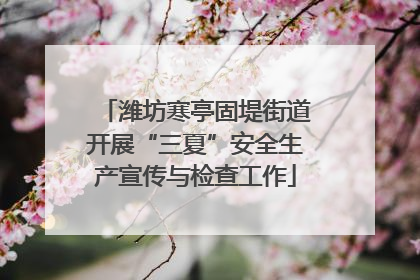 潍坊寒亭固堤街道开展“三夏”安全生产宣传与检查工作