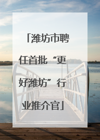 潍坊市聘任首批“更好潍坊”行业推介官