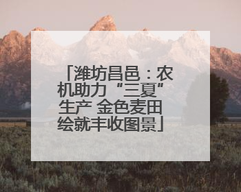潍坊昌邑：农机助力“三夏”生产 金色麦田绘就丰收图景