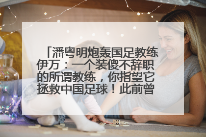 潘粤明炮轰国足教练伊万：一个装傻不辞职的所谓教练，你指望它拯救中国足球！此前曾多次发文评价国足