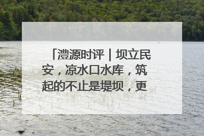 澧源时评｜坝立民安，凉水口水库，筑起的不止是堤坝，更是民心长城