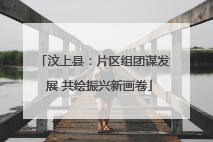 汶上县：片区组团谋发展 共绘振兴新画卷