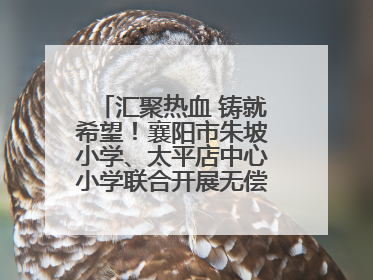 汇聚热血 铸就希望！襄阳市朱坡小学、太平店中心小学联合开展无偿献血活动
