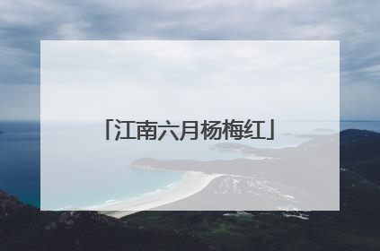 江南六月杨梅红