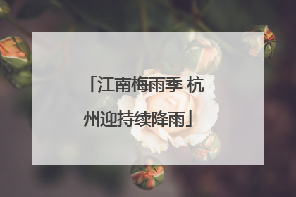江南梅雨季 杭州迎持续降雨