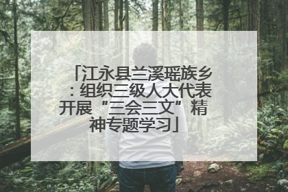江永县兰溪瑶族乡：组织三级人大代表开展“三会三文”精神专题学习