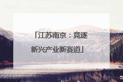 江苏南京：竞逐新兴产业新赛道