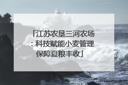 江苏农垦三河农场：科技赋能小麦管理保障夏粮丰收