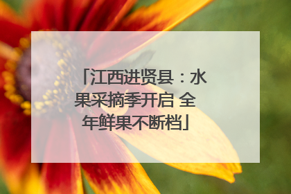 江西进贤县：水果采摘季开启 全年鲜果不断档