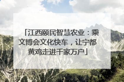 江西颐民智慧农业：乘文博会文化快车，让宁都黄鸡走进千家万户