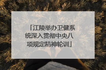 江陵举办卫健系统深入贯彻中央八项规定精神轮训