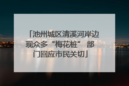 池州城区清溪河岸边现众多“梅花桩” 部门回应市民关切