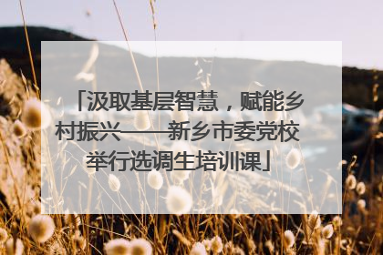 汲取基层智慧，赋能乡村振兴——新乡市委党校举行选调生培训课