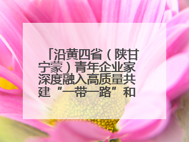 沿黄四省（陕甘宁蒙）青年企业家深度融入高质量共建“一带一路”和西部陆海新通道建设战略合作交流会在甘肃兰州召开