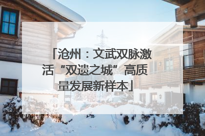 沧州：文武双脉激活“双遗之城”高质量发展新样本