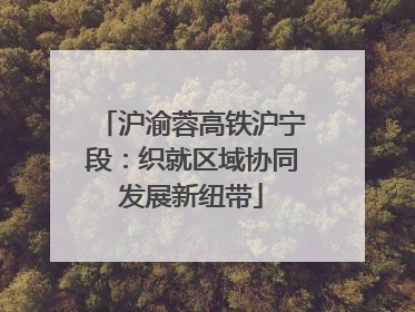沪渝蓉高铁沪宁段：织就区域协同发展新纽带