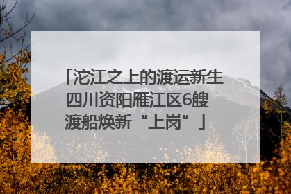 沱江之上的渡运新生 四川资阳雁江区6艘渡船焕新“上岗”