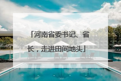河南省委书记、省长，走进田间地头