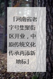 河南省老字号集聚街区开业，中原传统文化传承再添新地标