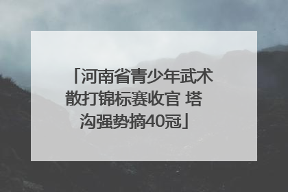 河南省青少年武术散打锦标赛收官 塔沟强势摘40冠