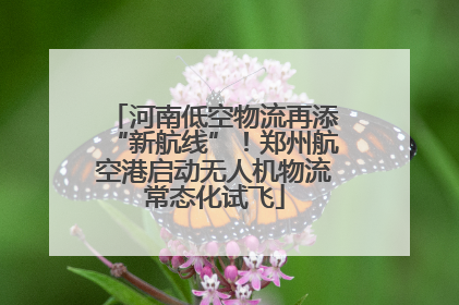 河南低空物流再添“新航线”！郑州航空港启动无人机物流常态化试飞