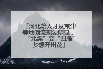 河北籍人才从京津等地回流现象明显，“北漂”变“归雁” 梦想开出花