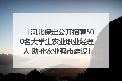 河北保定公开招聘500名大学生农业职业经理人 助推农业强市建设