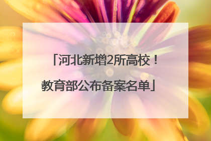 河北新增2所高校！教育部公布备案名单