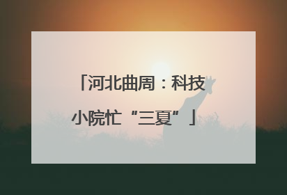 河北曲周：科技小院忙“三夏”