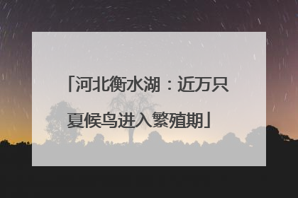 河北衡水湖：近万只夏候鸟进入繁殖期