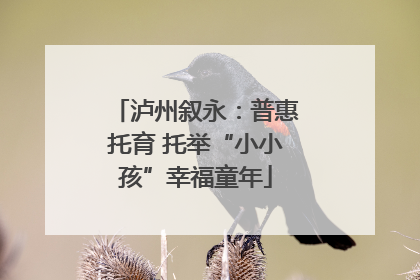 泸州叙永：普惠托育 托举“小小孩”幸福童年