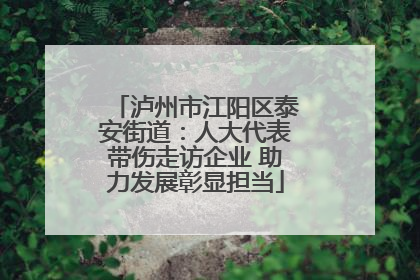 泸州市江阳区泰安街道：人大代表带伤走访企业 助力发展彰显担当