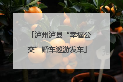 泸州泸县“幸福公交”婚车巡游发车