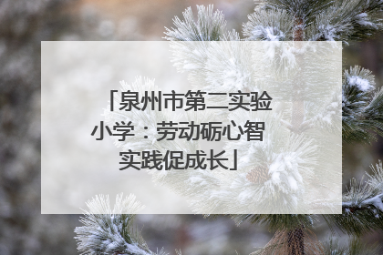 泉州市第二实验小学：劳动砺心智实践促成长