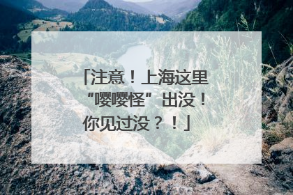 注意！上海这里“嘤嘤怪”出没！你见过没？！