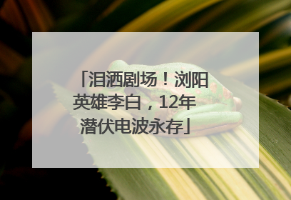 泪洒剧场！浏阳英雄李白，12年潜伏电波永存