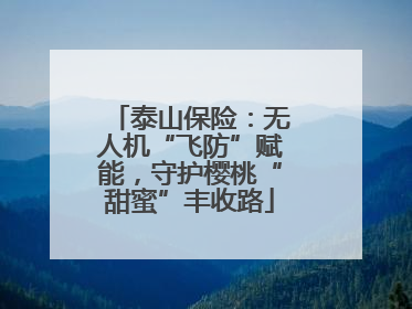 泰山保险：无人机“飞防”赋能，守护樱桃“甜蜜”丰收路