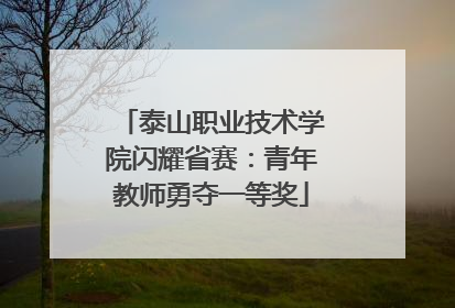 泰山职业技术学院闪耀省赛：青年教师勇夺一等奖