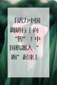 活力中国调研行｜向“智”！中国机器人“跑”起来