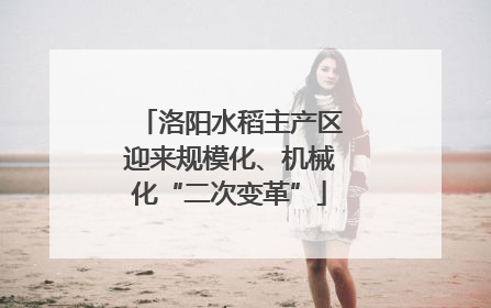洛阳水稻主产区迎来规模化、机械化“二次变革”