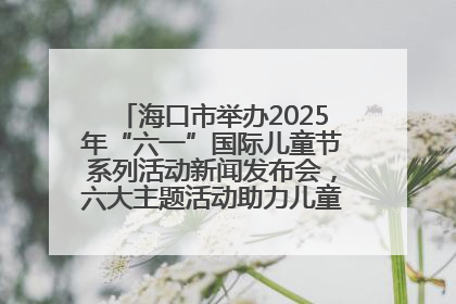 海口市举办2025年“六一”国际儿童节系列活动新闻发布会，六大主题活动助力儿童友好城市建设