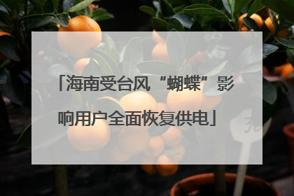 海南受台风“蝴蝶”影响用户全面恢复供电