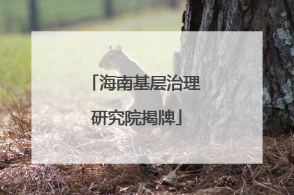 海南基层治理研究院揭牌